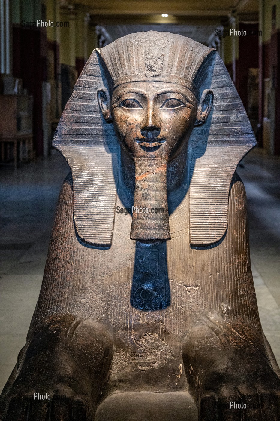 SPHINX DE LA REINE HATCHEPSOUT DE LA XVIII EME DYNASTIE, MUSEE EGYPTIEN DU CAIRE CONSACRE A L'ANTIQUITE EGYPTIENNE, LE CAIRE, EGYPTE, AFRIQUE 