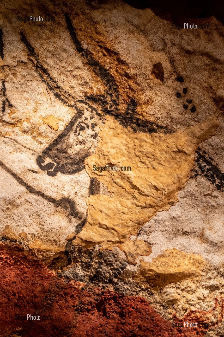 LASCAUX IV, GROTTE, PREHISTOIRE, PEINTURE RUPESTRE, ANIMAUX PREHISTORIQUES, REPRODUCTION