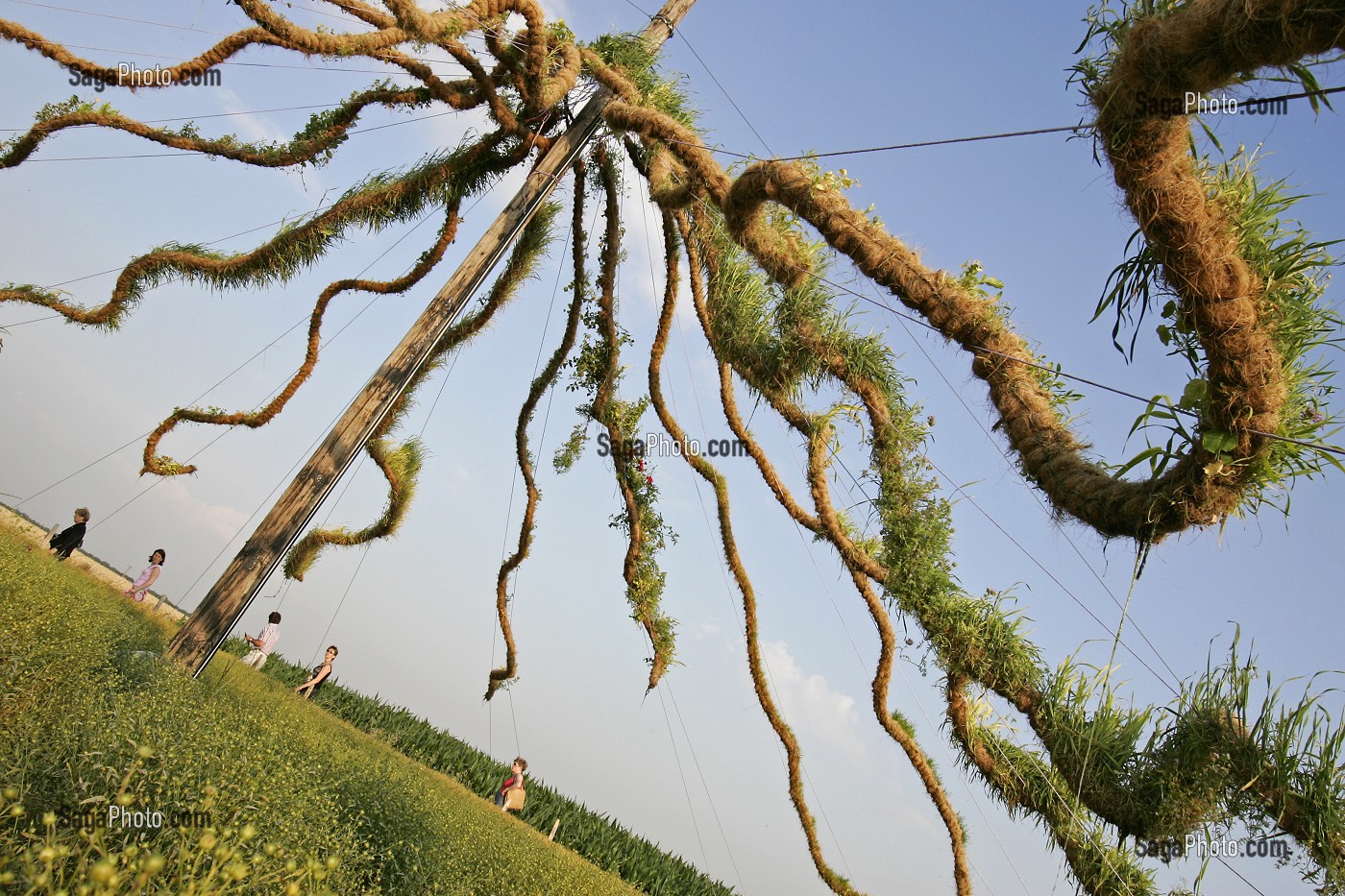 LES CHAMPS DE LA BEAUCE, AUTHEUIL, SCULPTURE VEGETALE GEANTE, EUROLAND ART, 1ER FESTIVAL EUROPEEN D'ART GRANDEUR NATURE SUR LA ROUTE DU BLE EN BEAUCE, EURE ET LOIR (28), FRANCE 