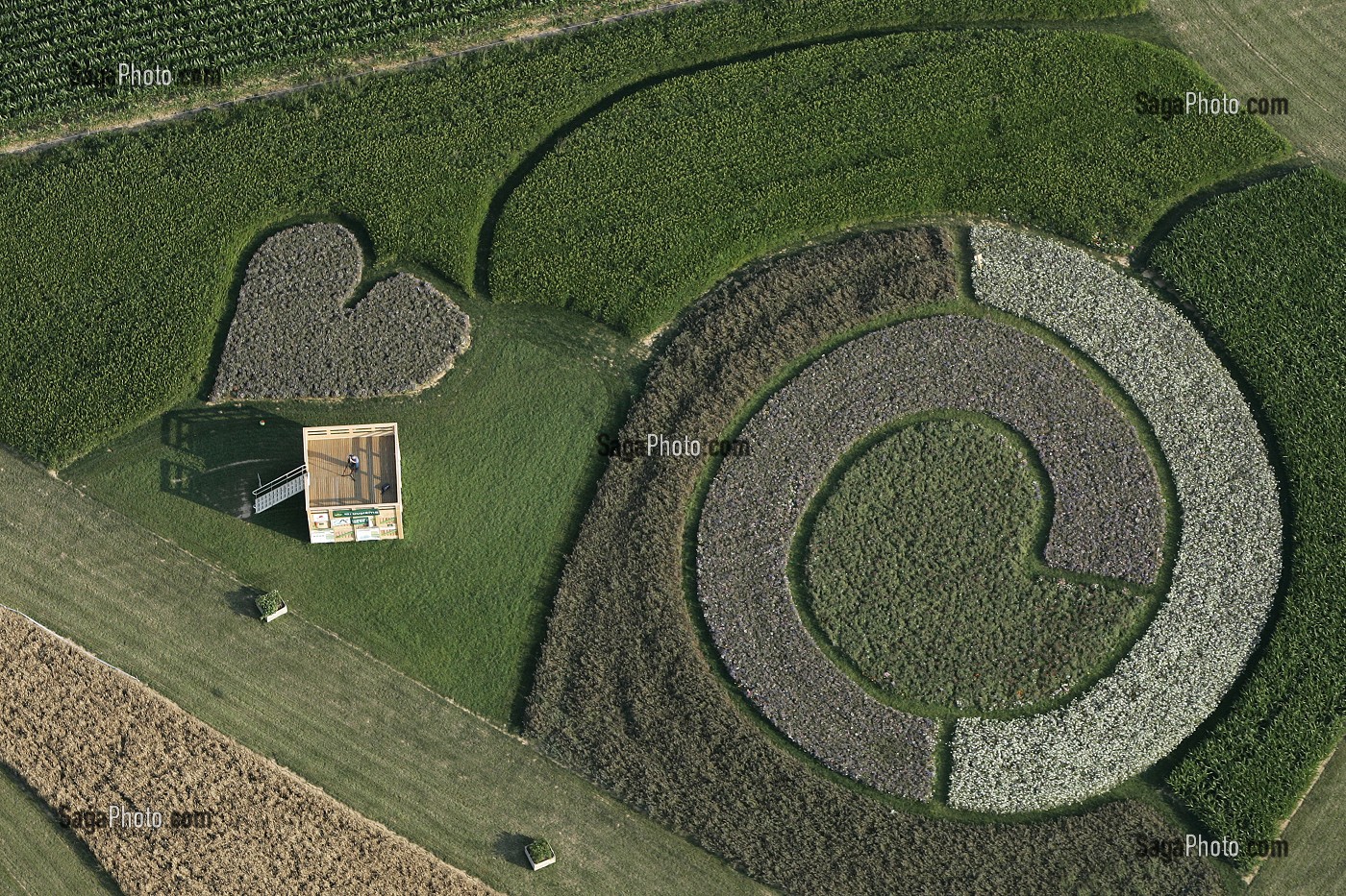 LES CHAMPS DE LA BEAUCE, AUTHEUIL, SCULPTURE VEGETALE GEANTE AVEC UN COEUR, EUROLAND ART, 1ER FESTIVAL EUROPEEN D'ART GRANDEUR NATURE SUR LA ROUTE DU BLE EN BEAUCE, EURE-ET-LOIR, FRANCE 