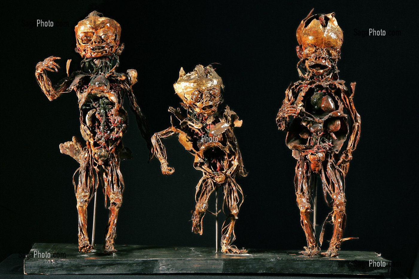 GROUPE DE FOETUS HUMAINS DANSANT LA GIGUE (ENTRE 1766 ET 1771), ECORCHES DE HONORE FRAGONARD, MUSEE FRAGONARD, ECOLE NATIONALE VETERINAIRE D'ALFORT, MAISONS-ALFORT (94), MAISONS-ALFORT, VAL-DE-MARNE (94), FRANCE 