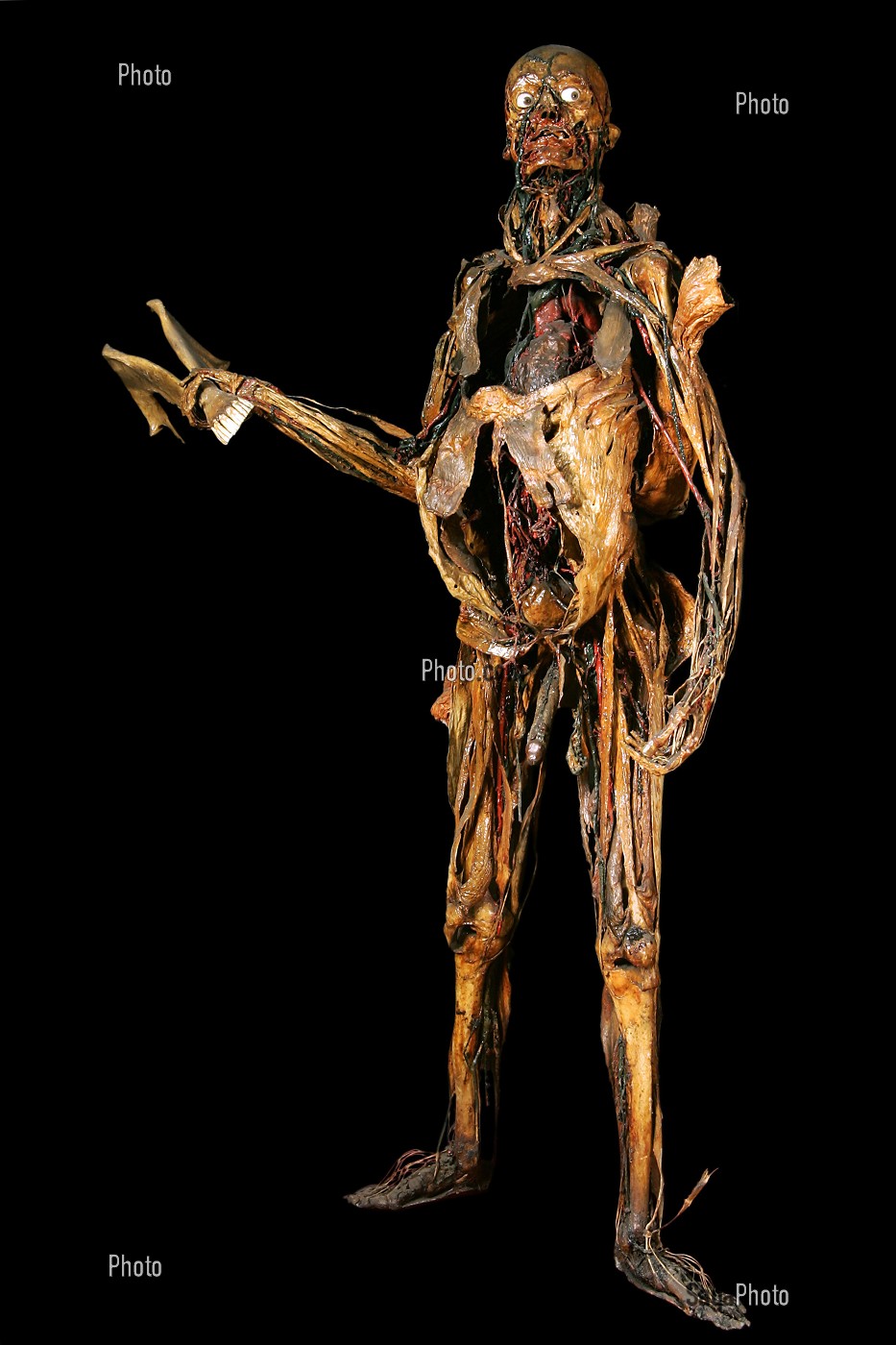 L'HOMME A LA MANDIBULE, ECORCHE DE HONORE FRAGONARD, FIN XVIII EME, MUSEE FRAGONARD, ECOLE NATIONALE VETERINAIRE D'ALFORT, MAISONS-ALFORT, VAL-DE-MARNE (94), FRANCE 