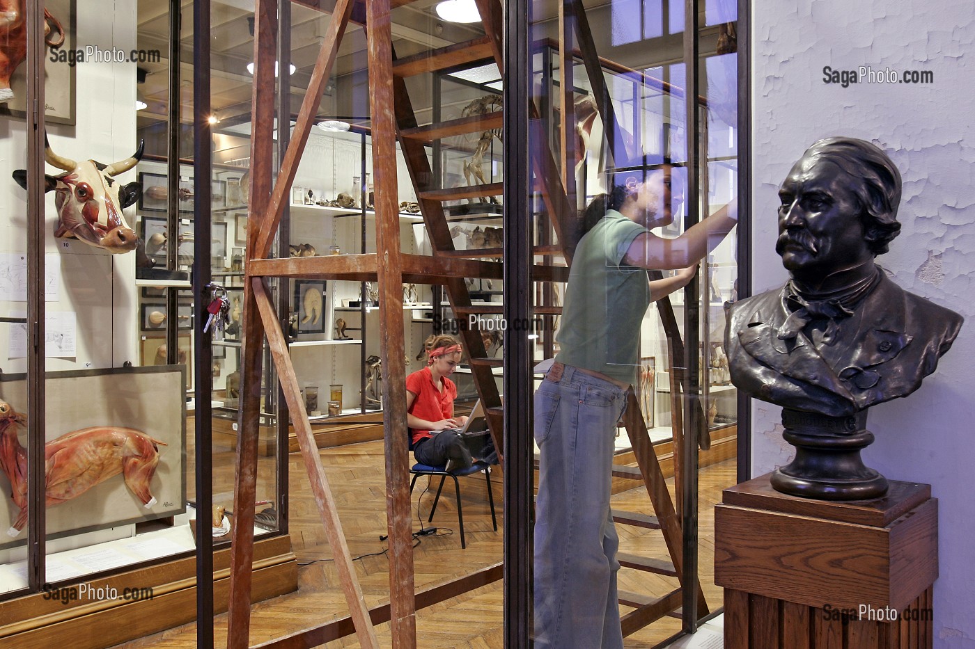 SCENE D'INVENTAIRE AU MUSEE, UNE FOIS PAR SIECLE, TOUTES LES PIECES SONT REPERTORIEES, MUSEE FRAGONARD, ECOLE NATIONALE VETERINAIRE D'ALFORT, MAISONS-ALFORT, VAL-DE-MARNE (94), FRANCE 