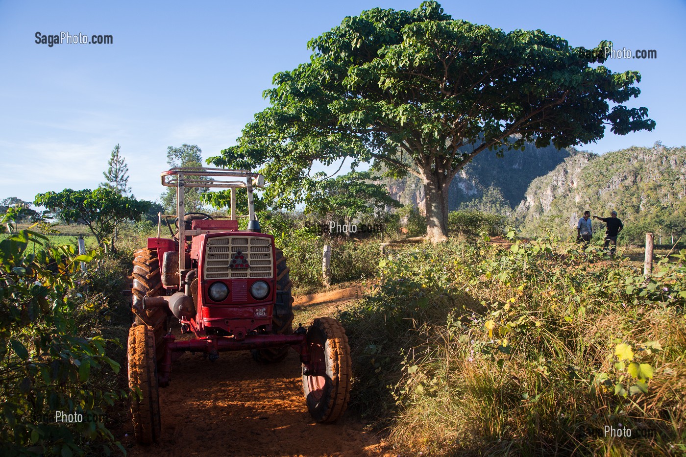 PETIT TRACTEUR DANS UN CHAMP, SIGNE DE RICHESSE, PAYSAGE AGRICOLE AU PIED DES MOGOTES (BUTTES MONTAGNEUSES CALCAIRES), VALLEE DE VINALES, CLASSEE AU PATRIMOINE MONDIAL DE L’HUMANITE PAR L’UNESCO, CUBA, CARAIBES 