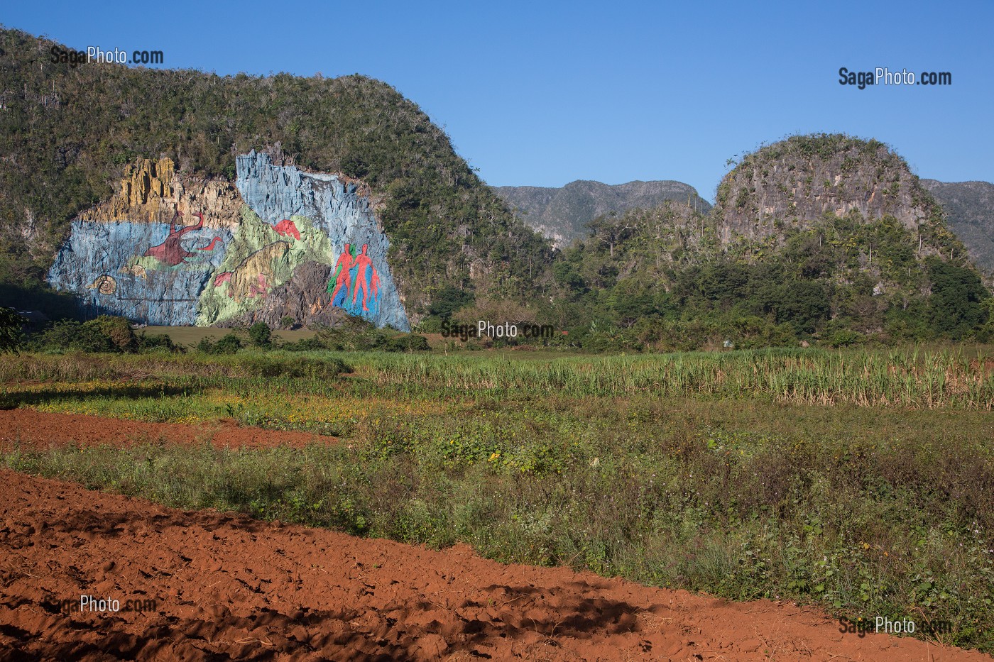 MUR DE LA PREHISTOIRE (MURAL DE LA PREHISTORIA) COMMANDE PAR FIDEL CASTRO EN 1961, PEINTURE SUR UN VERSANT D'UNE MOGOTE (BUTTE MONTAGNEUSE CALCAIRE), VALLEE DE VINALES, CLASSEE AU PATRIMOINE MONDIAL DE L’HUMANITE PAR L’UNESCO, CUBA, CARAIBES 