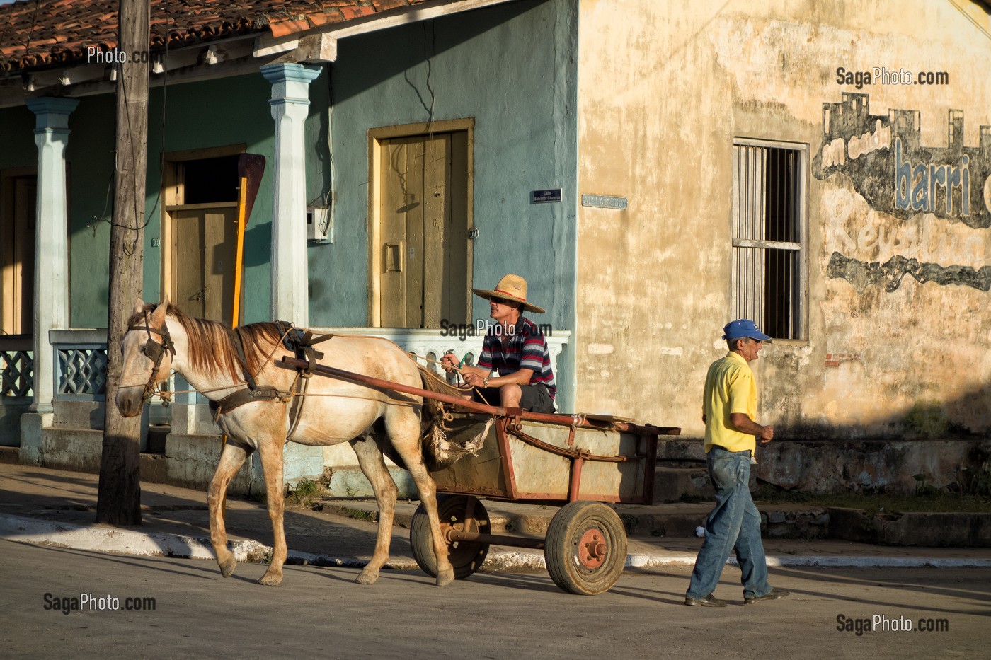 PAYSAN AVEC SA CHARRETTE ET SON CHEVAL, EN VILLE, VALLEE DE VINALES, CLASSEE AU PATRIMOINE MONDIAL DE L’HUMANITE PAR L’UNESCO, CUBA, CARAIBES 