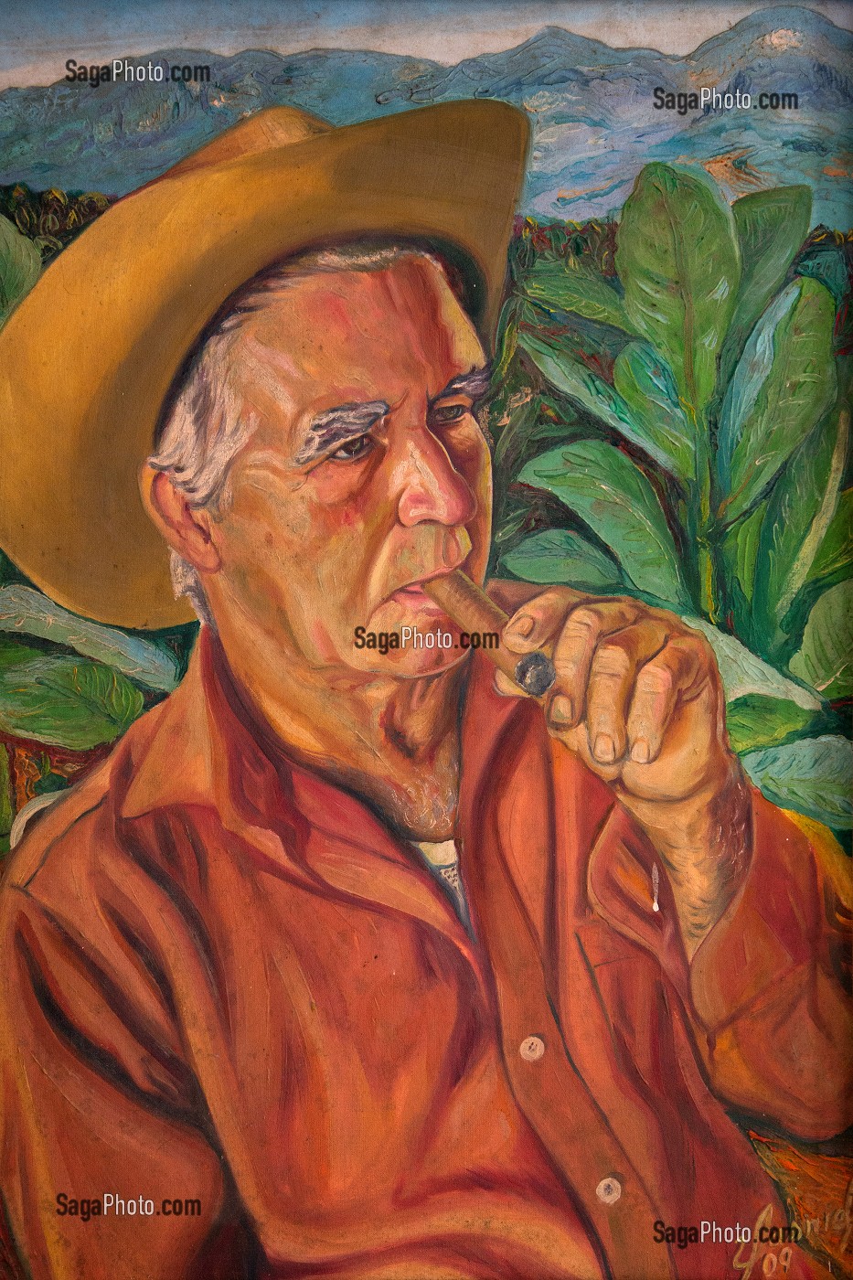 PEINTURE REPRESENTANT UN PRODUCTEUR CUBAIN FUMANT UN CIGARE DANS SA PLANTATION DE TABAC DESTINEE A LA FABRICATION DU CIGARE COHIBA (PURO), PINAR DEL RIO, CUBA, CARAIBES 