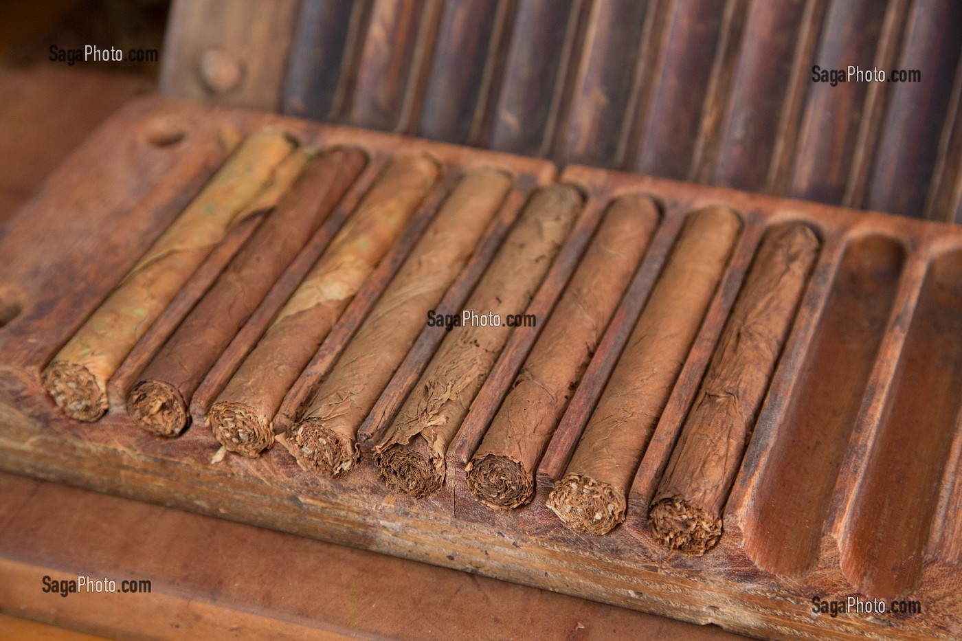 PRESSOIR A CIGARES TRADITIONNEL EN BOIS UTILISE PAR LES PRODUCTEURS DE TABAC POUR LA FABRICATION LOCALE DES CIGARES CUBAINS COHIBA (PURO), PINAR DEL RIO, CUBA, CARAIBES 