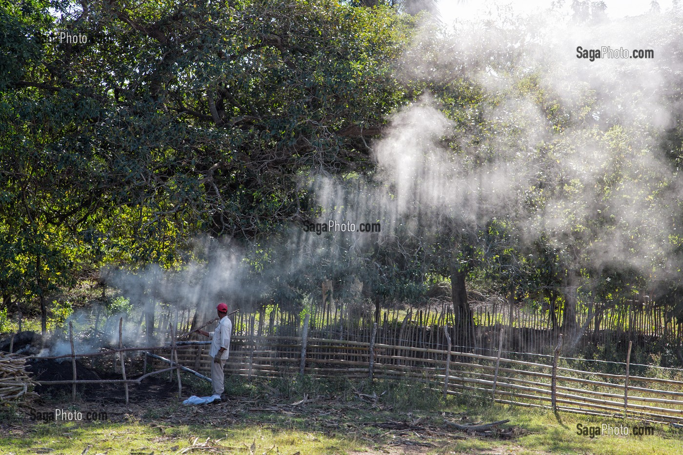 AMBIANCE PAYSANNE DANS LA FUMEE, VALLEE DE LOS INGENIOS (REGION DES ANCIENNES PLANTATIONS DE CANNE A SUCRE), CLASSEE AU PATRIMOINE MONDIAL DE L'HUMANITE PAR L'UNESCO, CUBA, CARAIBES 