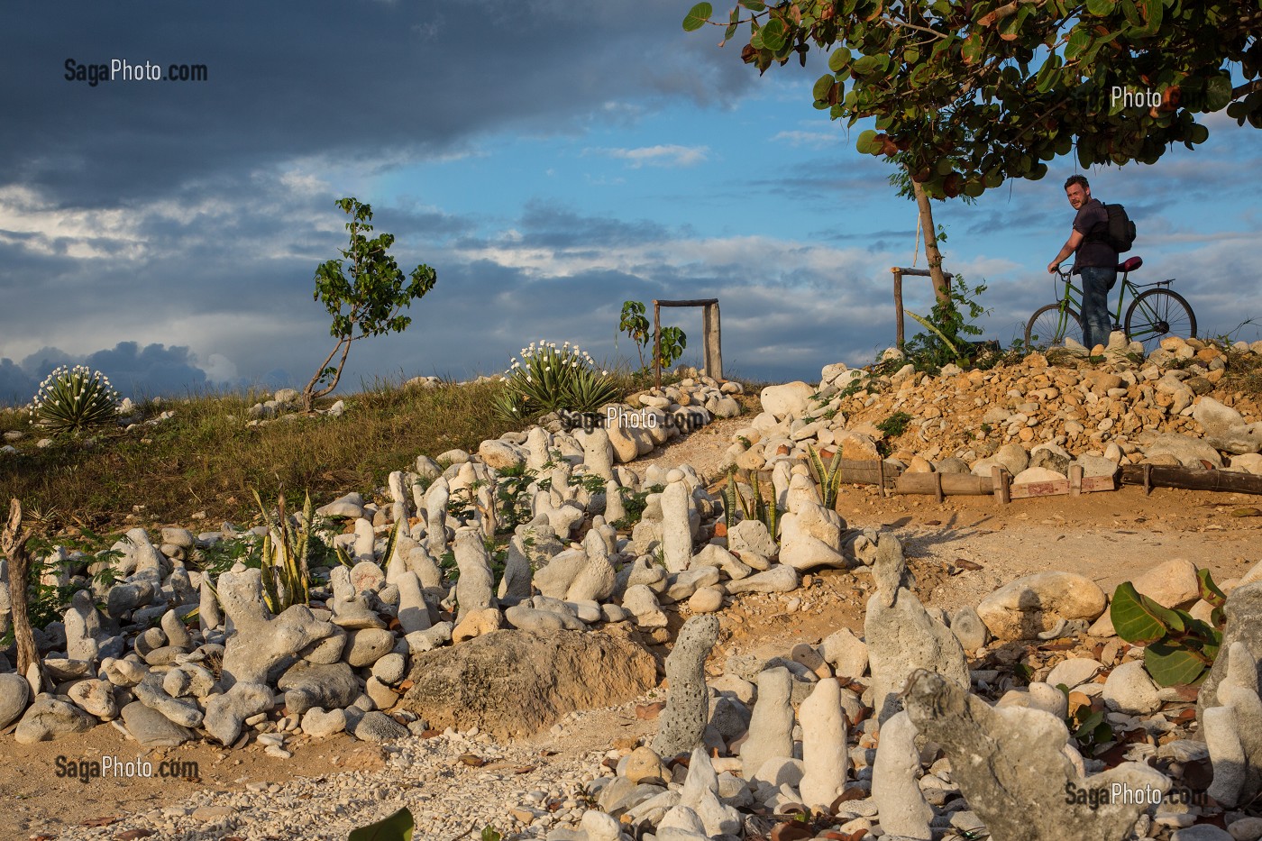SCULPTURES DE CORAIL SUR LA PLAGE DE SABLE FIN SITUEE ENTRE LE VILLAGE DE LA BOCA ET LA PLAGE ACON AU SUD DE LA VILLE DE TRINIDAD, CUBA, CARAIBES 