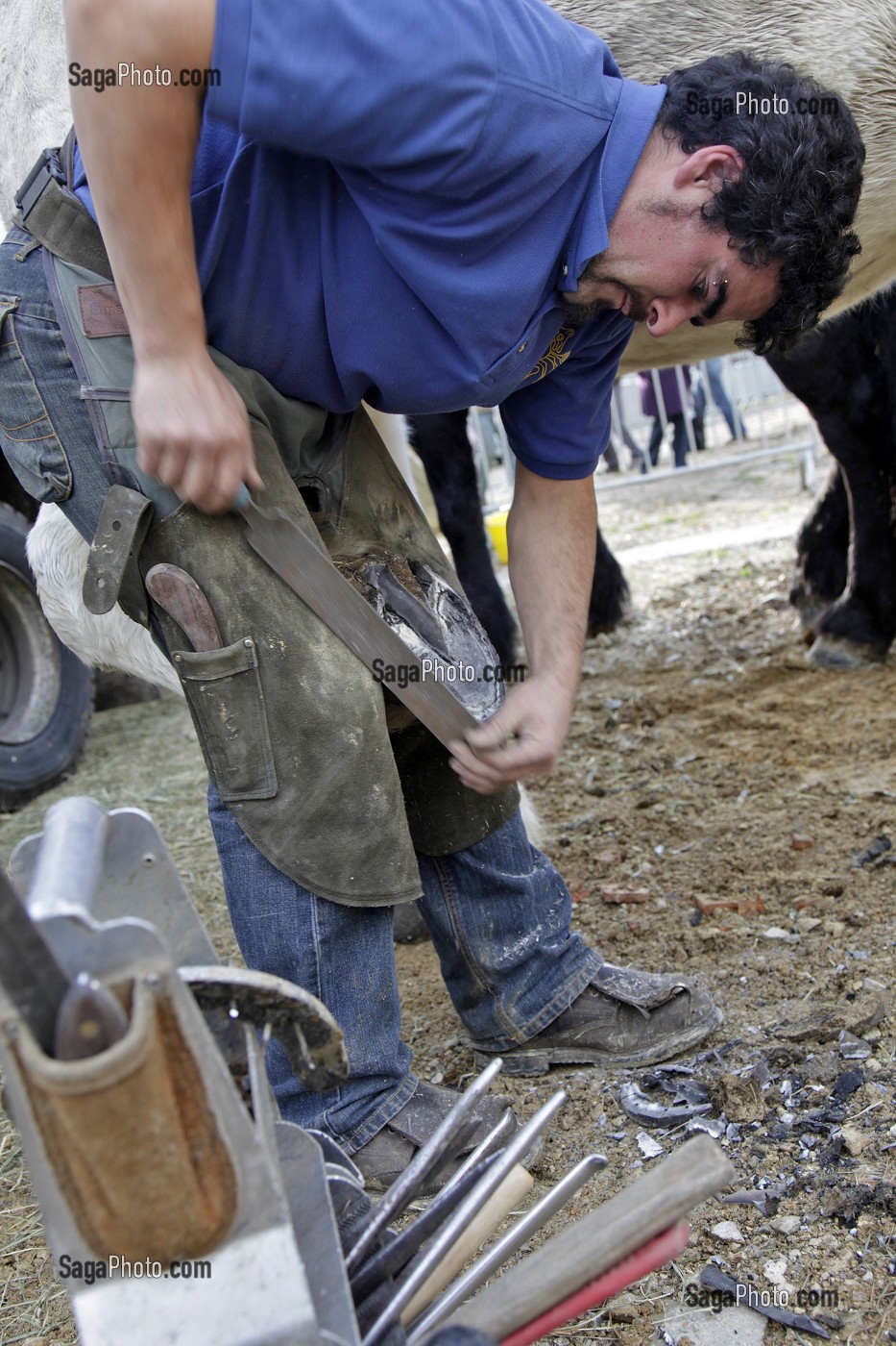 MARECHAL-FERRANT, FOIRE DE LA SAINT-MARTIN, EURE-ET-LOIR, FRANCE 