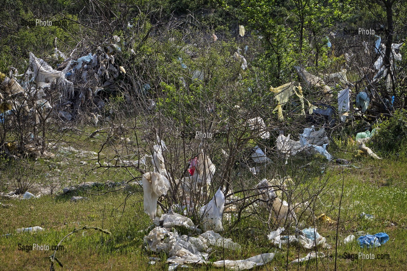 SACS PLASTIQUES ET DETRITUS, DECHARCHE SAUVAGE EN PLEINE NATURE, POLLUTION DE L'ENVIRONNEMENT 