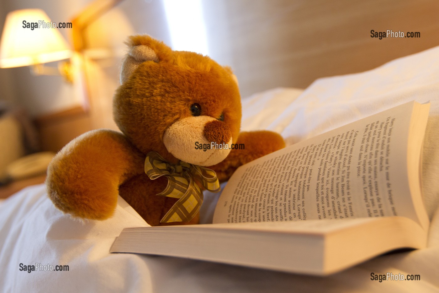 TEDDY L'OURS EN PELUCHE LISANT DANS SA CHAMBRE 