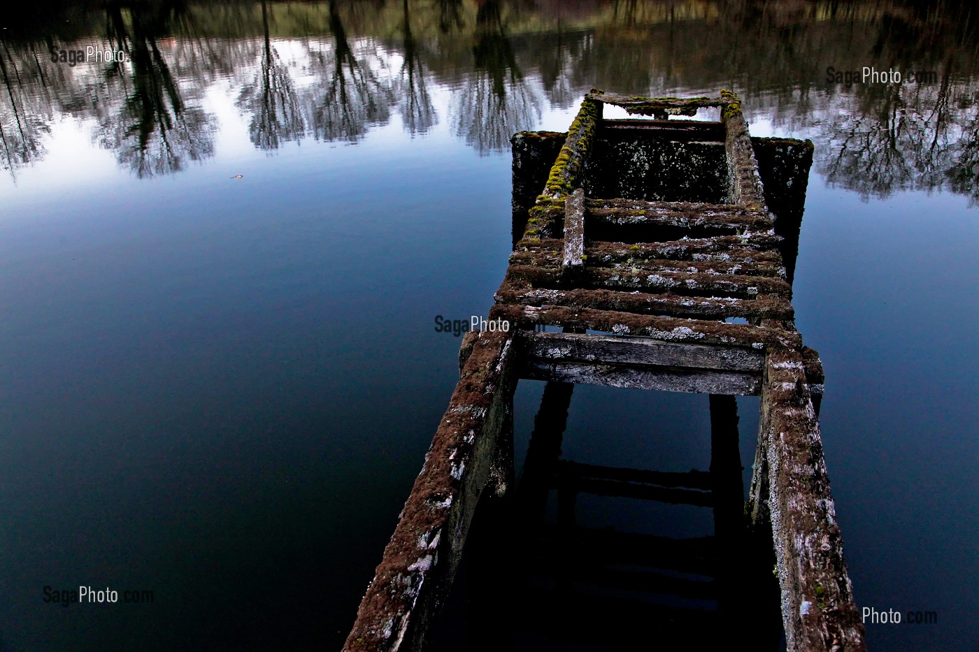 VIEUX PONTON EN BOIS SUR UN ETANG A LA TOMBEE DE LA NUIT, CREUSE (23), FRANCE 