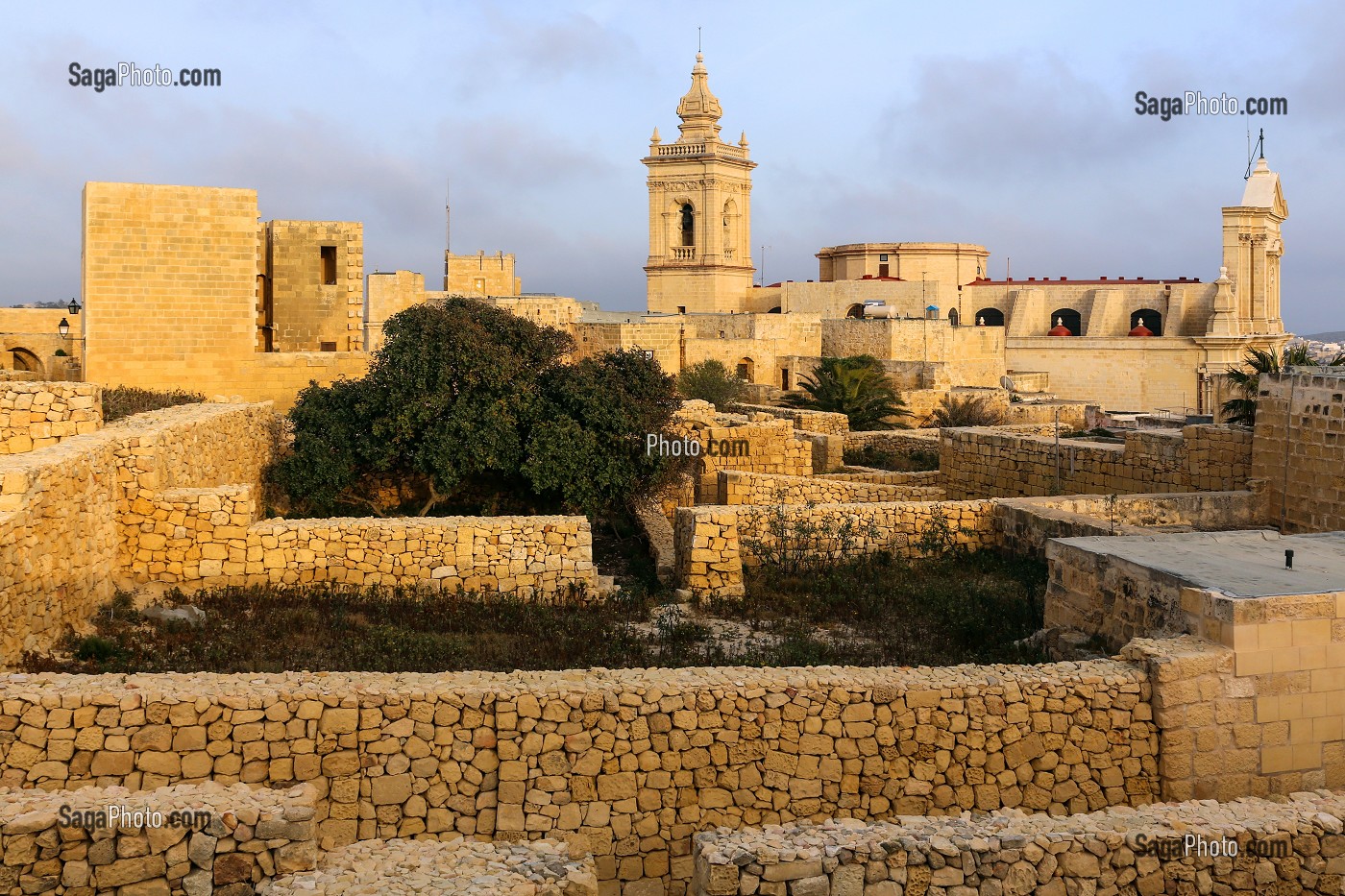 CATHEDRALE NOTRE-DAME DE L'ASSOMPTION DE GOZO ET CITADELLE, VICTORIA, RABAT, ILE DE GOZO, MALTE 