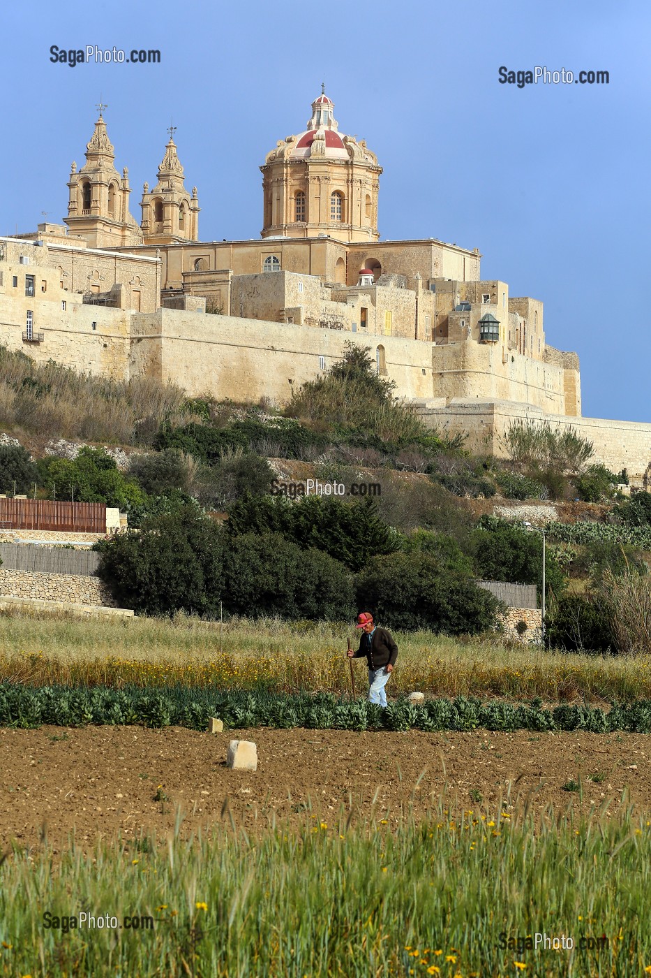 CATHEDRALE SAINT PIERRE ET SAINT PAUL DE MDINA, ANCIENNE VILLE MEDIEVALE FORTIFIEE ET ANCIENNE CAPITALE DE MALTE, MDINA, MALTE 
