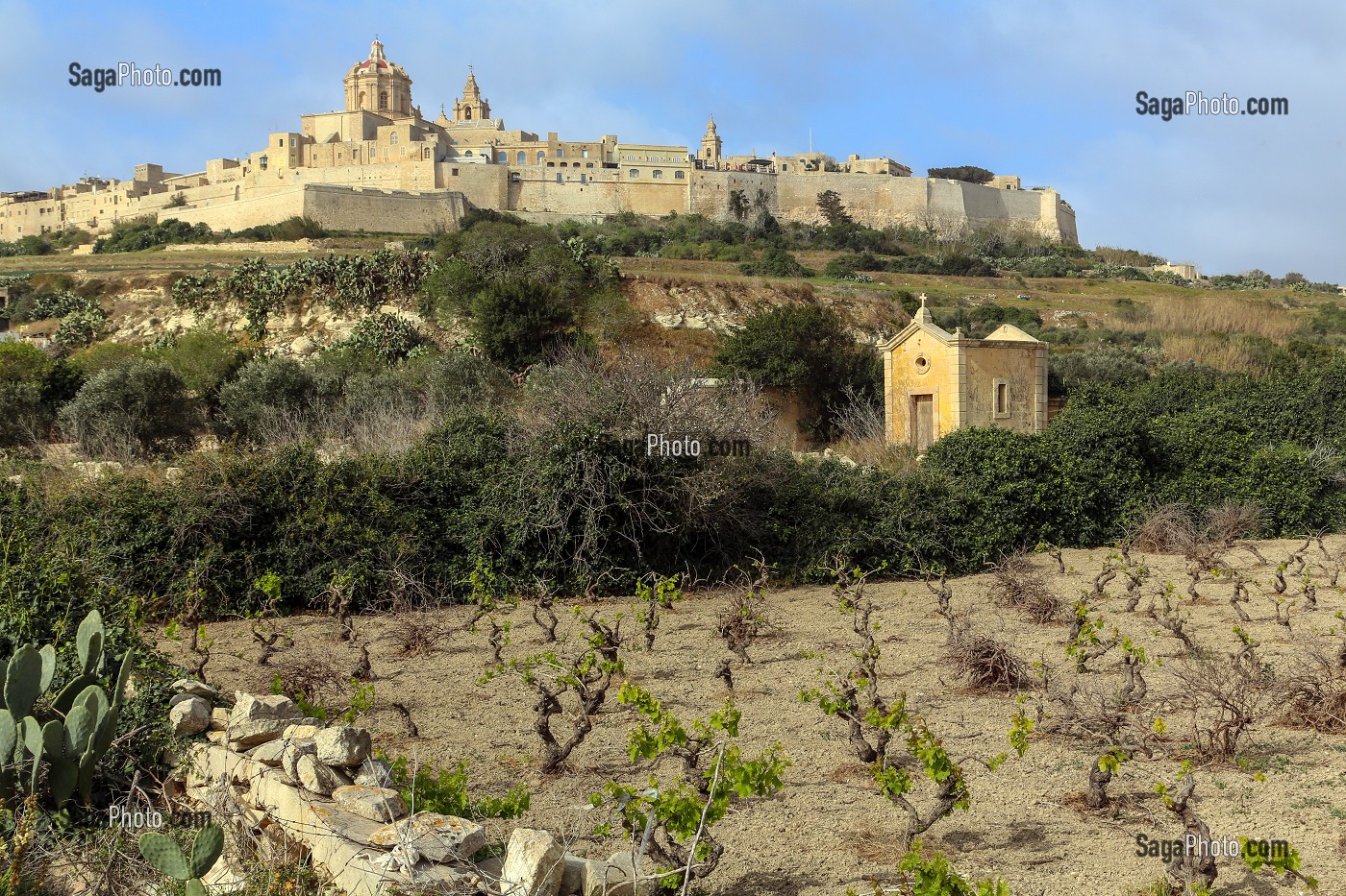 CATHEDRALE SAINT PIERRE ET SAINT PAUL DE MDINA, ANCIENNE VILLE MEDIEVALE FORTIFIEE ET ANCIENNE CAPITALE DE MALTE, MDINA, MALTE 