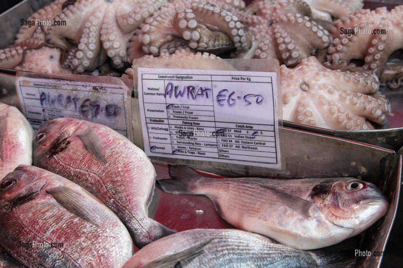 MARCHE AUX POISSONS DE MARSAXLOKK, MALTE 