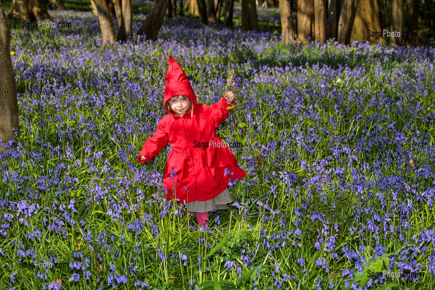 FILLETTE EN PETIT CHAPERON ROUGE SE PROMENANT DANS UN BOIS, FRANCE 