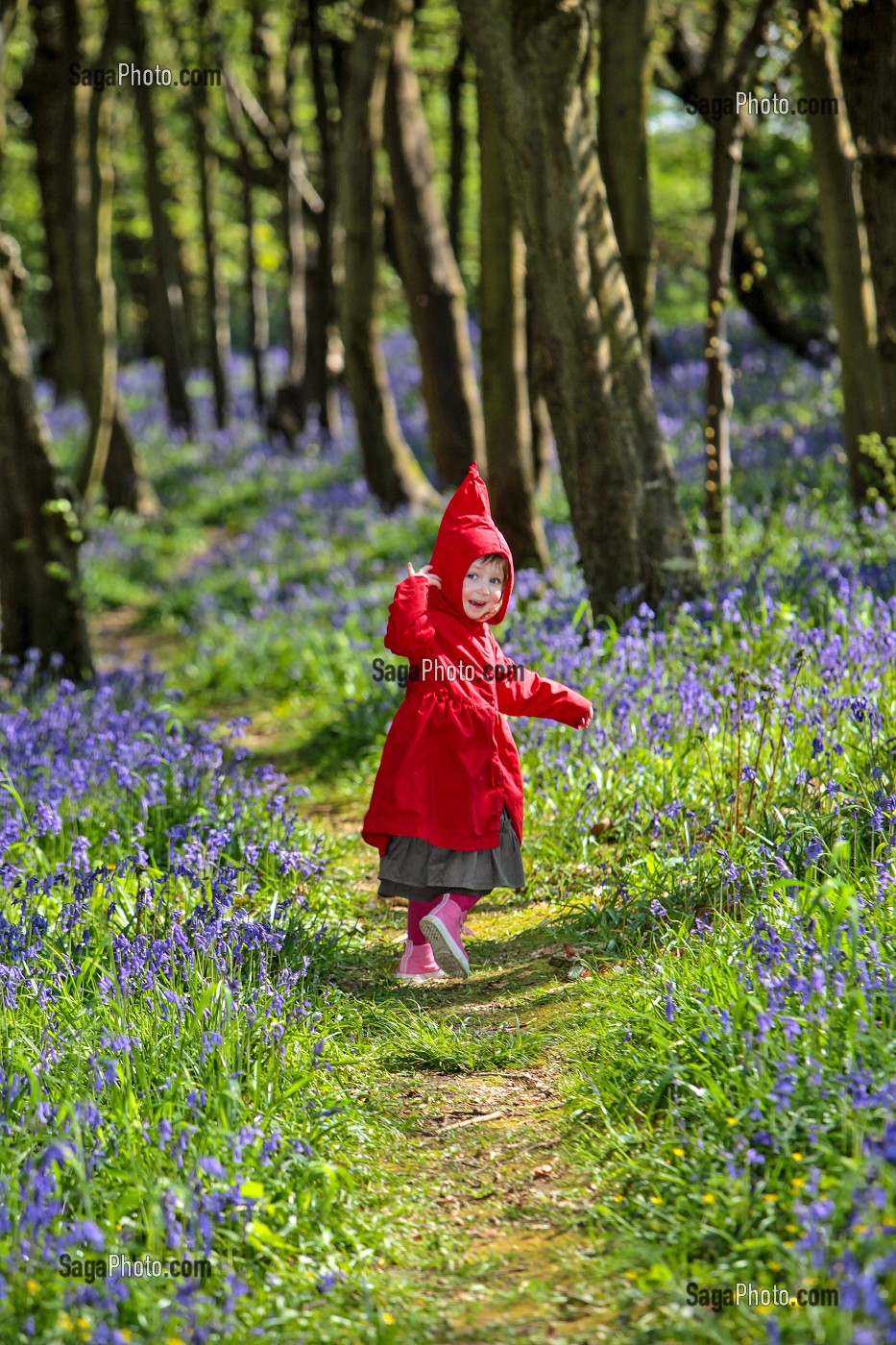 FILLETTE EN PETIT CHAPERON ROUGE SE PROMENANT DANS UN BOIS, FRANCE 