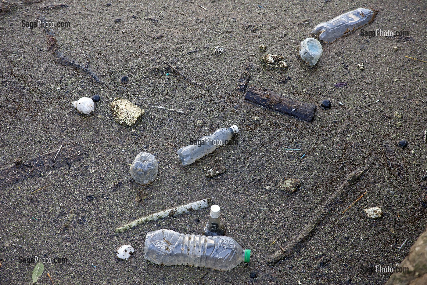 POLLUTION DE L'EAU, SEINE, PARIS 