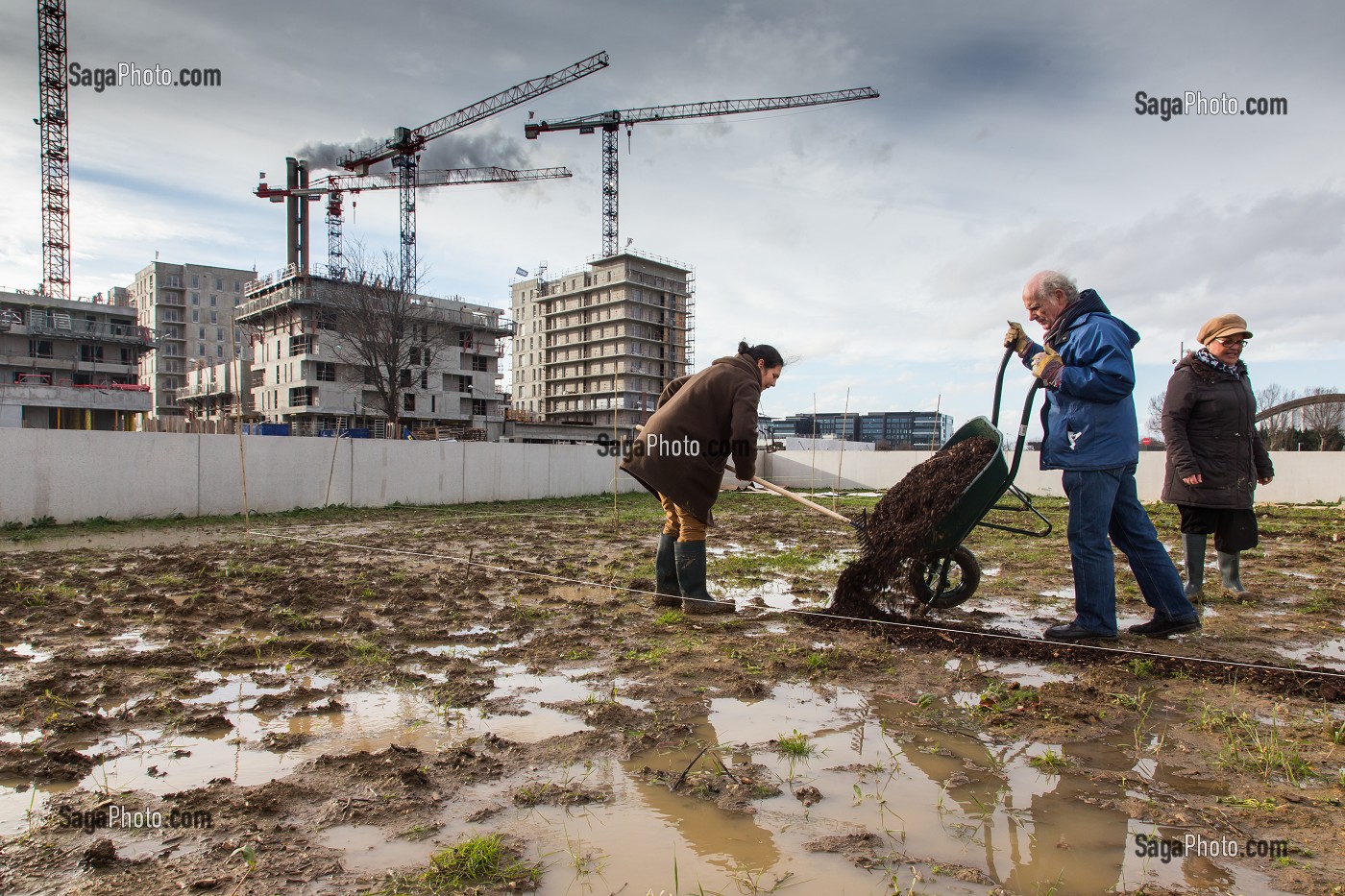 AGRICULTURE URBAINE 