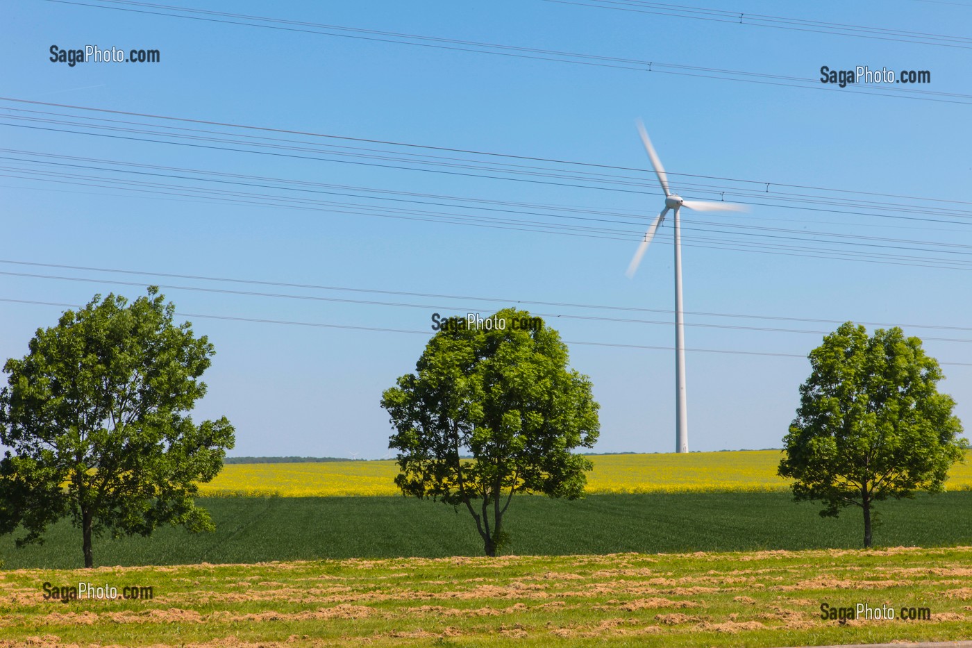 ILLUSTRATION ENERGIE ELECTRIQUE ET EOLIENNE, (80) SOMME, PICARDIE, FRANCE 