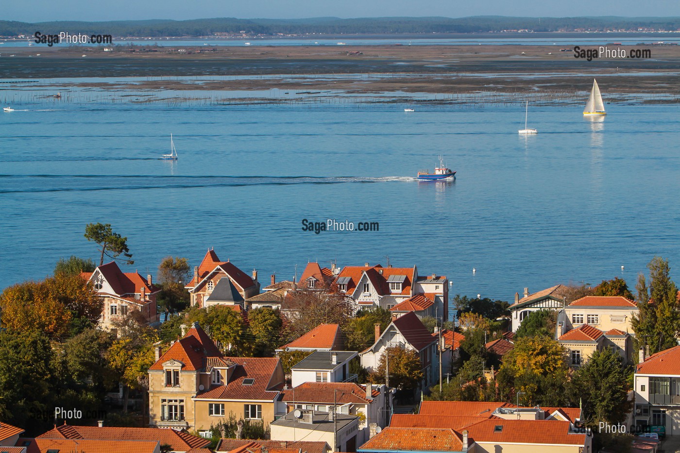BASSIN D'ARCACHON, GIRONDE, FRANCE 