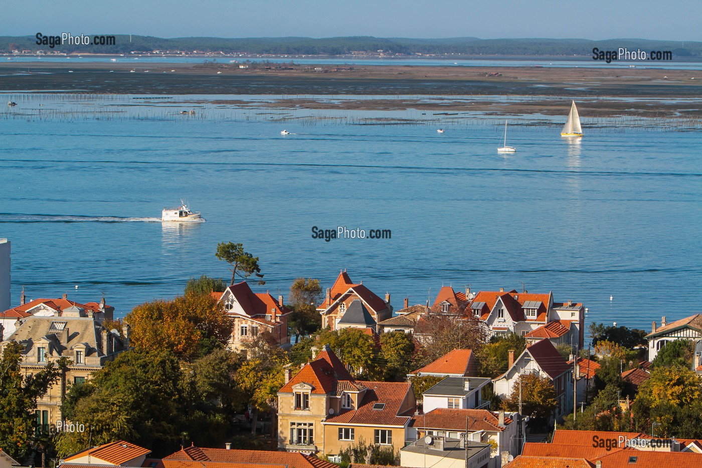 BASSIN D'ARCACHON, GIRONDE, FRANCE 