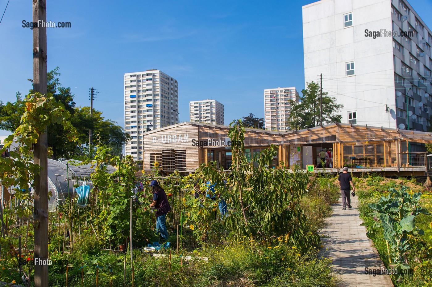 PROJET DE JARDIN EXPERIMENTAL R-UBAN PAR L'ATELIER D'ARCHITECTURE AUTOGEREE (AAA), COLOMBES (92) HAUTS-DE-SEINE, FRANCE 