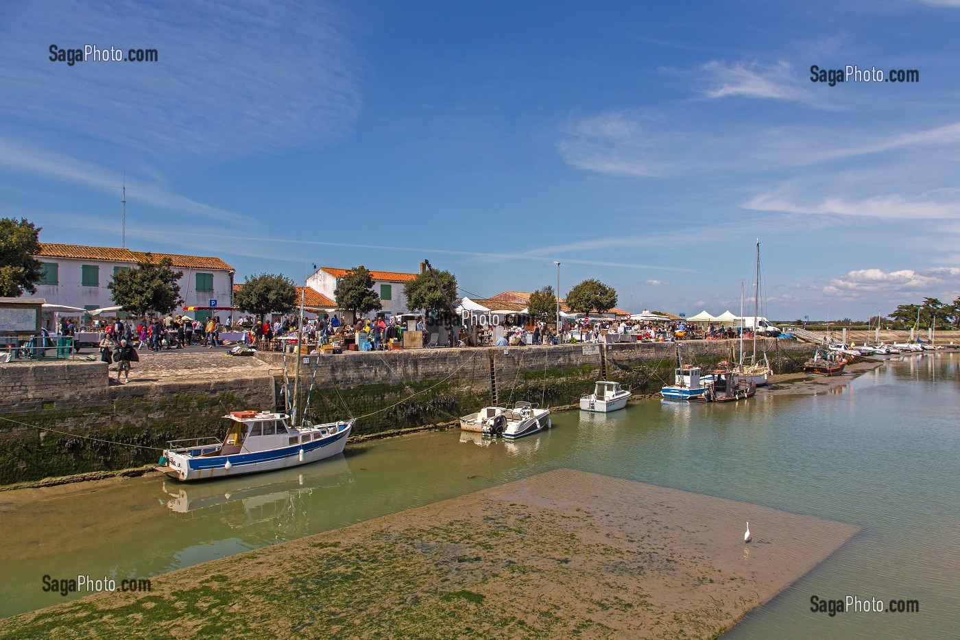 L'ILE DE RE, CHARENTE MARITIME, POITOU CHARENTES, FRANCE 