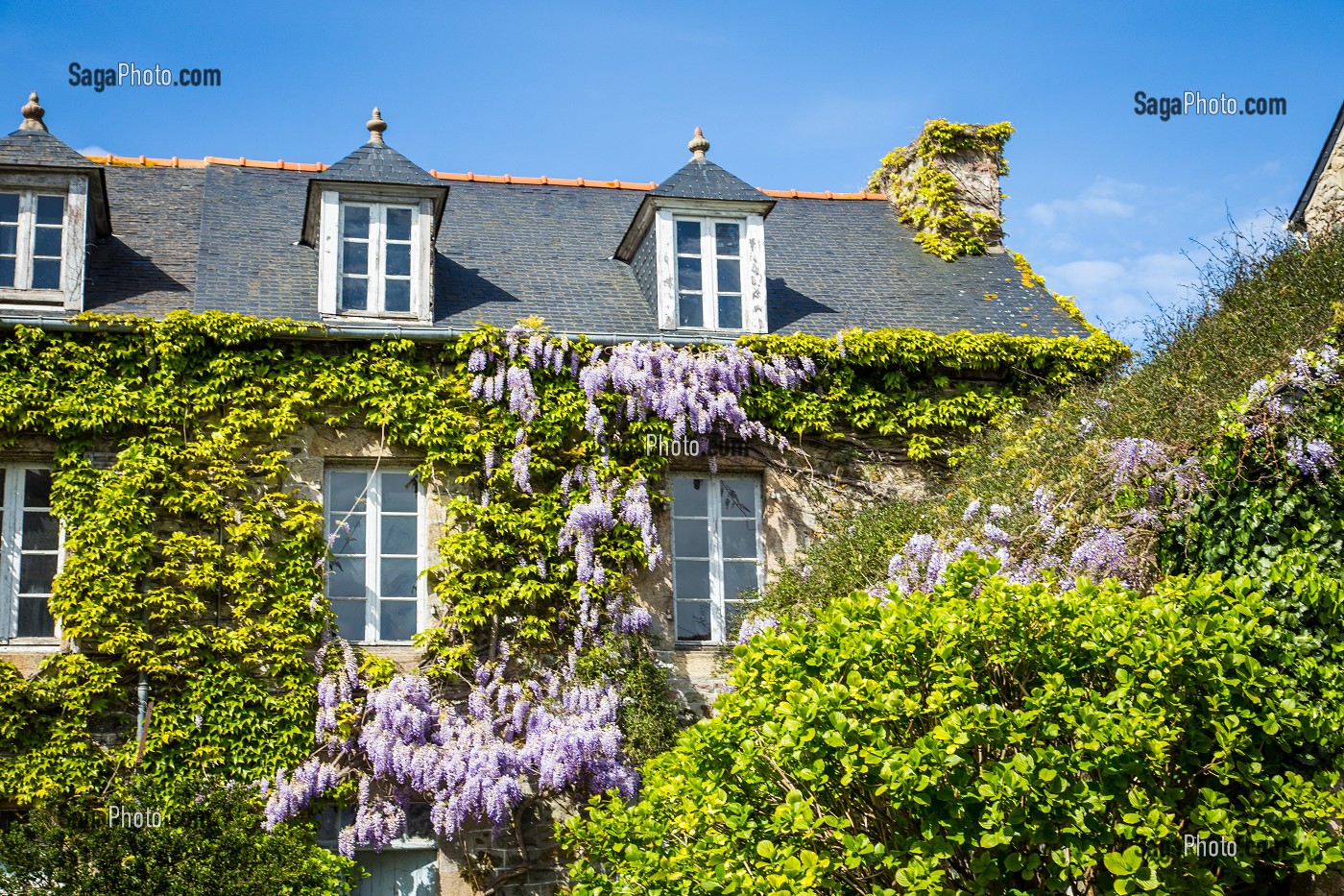 ILLUSTRATION COTES D'ARMOR (22), BRETAGNE, FRANCE 