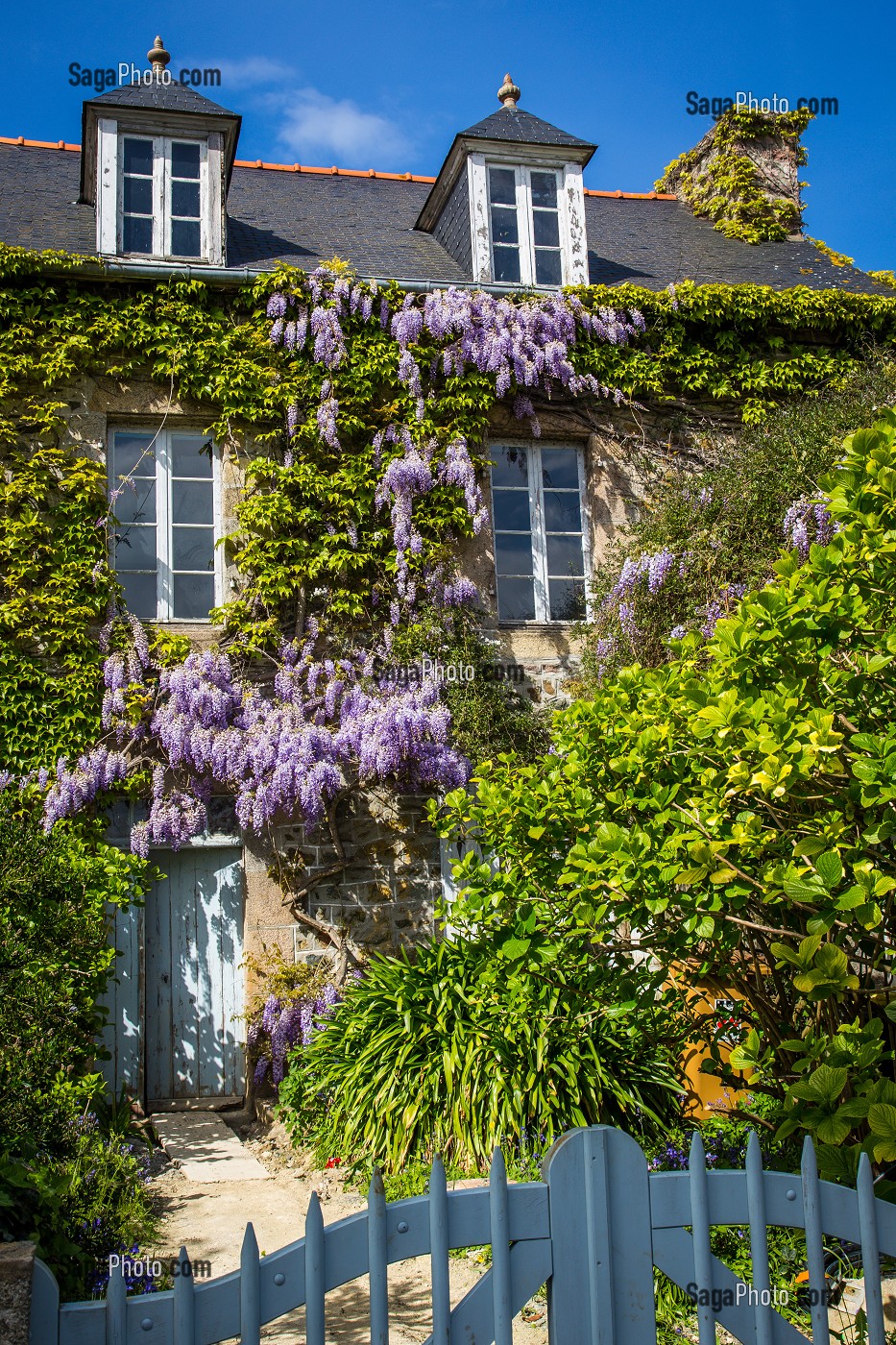 ILLUSTRATION COTES D'ARMOR (22), BRETAGNE, FRANCE 