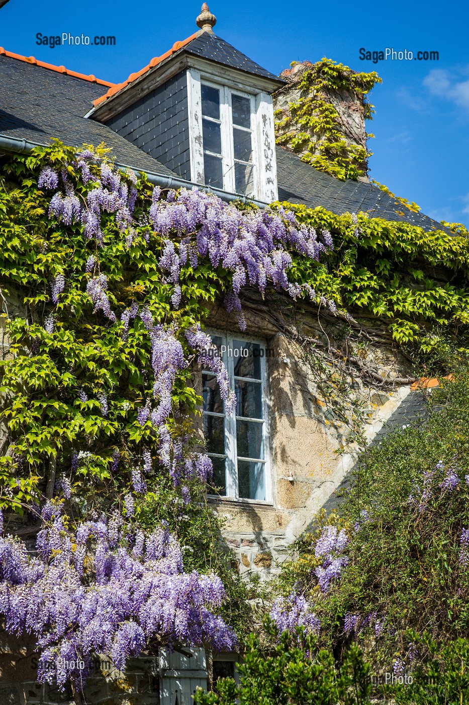 ILLUSTRATION COTES D'ARMOR (22), BRETAGNE, FRANCE 