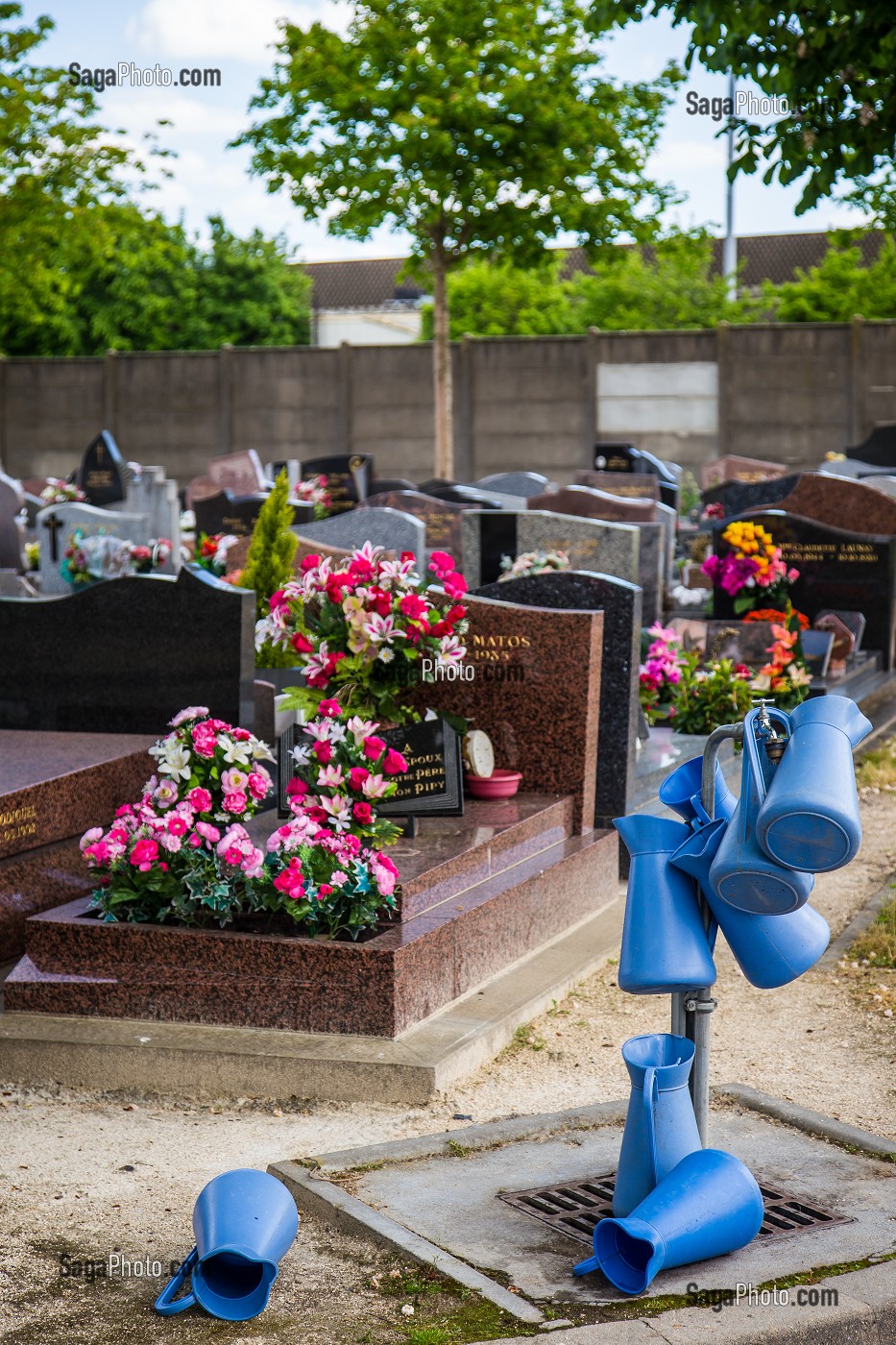 ENTRETIEN DES ESPACES VERTS SANS DESHERBANTS CHIMIQUES, VITRY-SUR-SEINE, (94) VAL-DE-MARNE, ILE-DE-FRANCE, FRANCE 