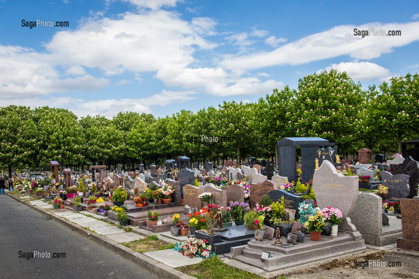 ENTRETIEN DES ESPACES VERTS SANS DESHERBANTS CHIMIQUES, VITRY-SUR-SEINE, (94) VAL-DE-MARNE, ILE-DE-FRANCE, FRANCE 