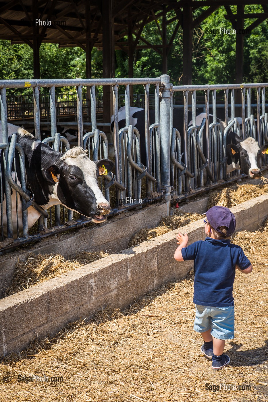 FERME DE VILTAIN, JOUY EN JOSAS, (78) YVELINES, ILE DE FRANCE, FRANCE 