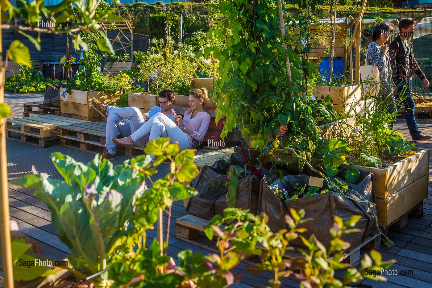 LIVING ROOF, RESIDENCE D'AGRICULTURE URBAINE, CITE DE LA MODE ET DU DESIGN 