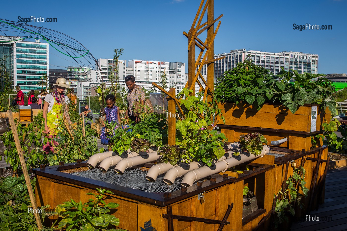 LIVING ROOF, RESIDENCE D'AGRICULTURE URBAINE, CITE DE LA MODE ET DU DESIGN 