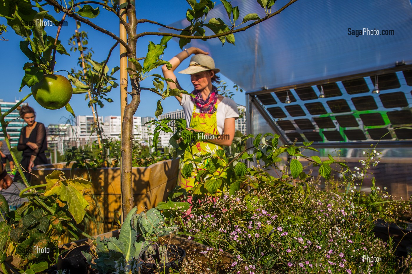 LIVING ROOF, RESIDENCE D'AGRICULTURE URBAINE, CITE DE LA MODE ET DU DESIGN 