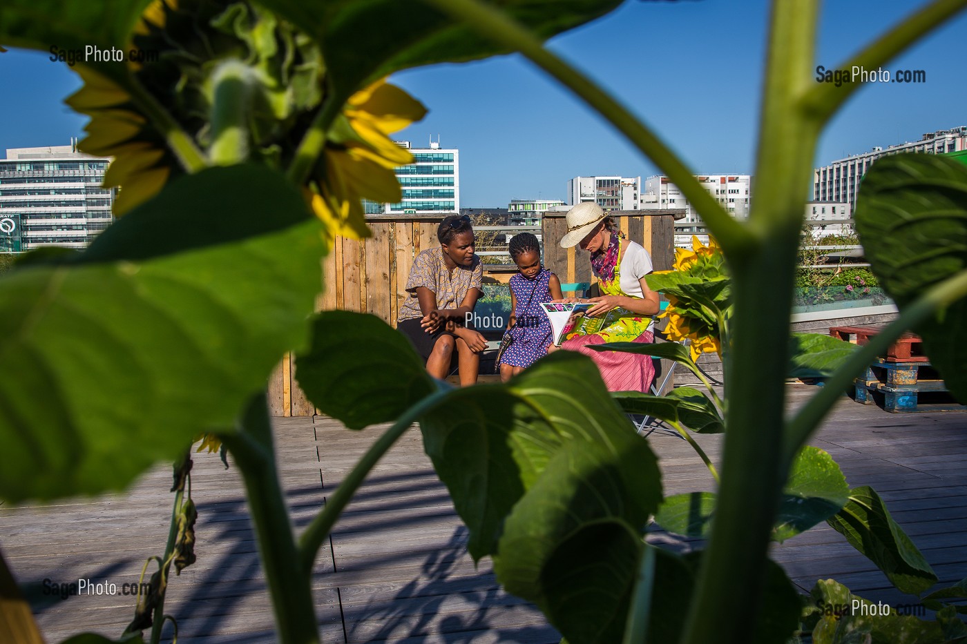 LIVING ROOF, RESIDENCE D'AGRICULTURE URBAINE, CITE DE LA MODE ET DU DESIGN 