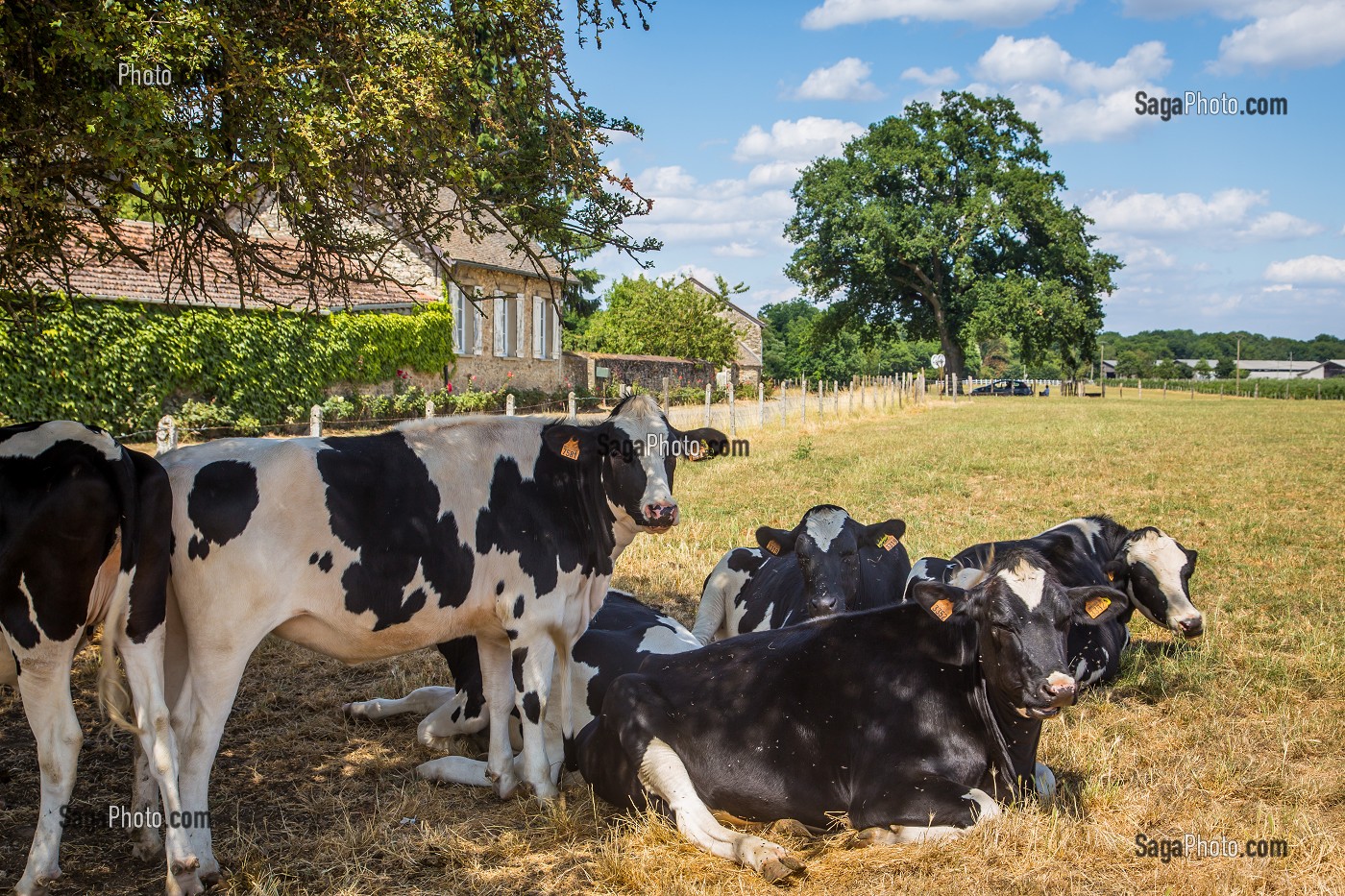 LA FERME DE VILTAIN, JOUY EN JOSAS, (78) YVELINES, ILE-DE-FRANCE, FRANCE 