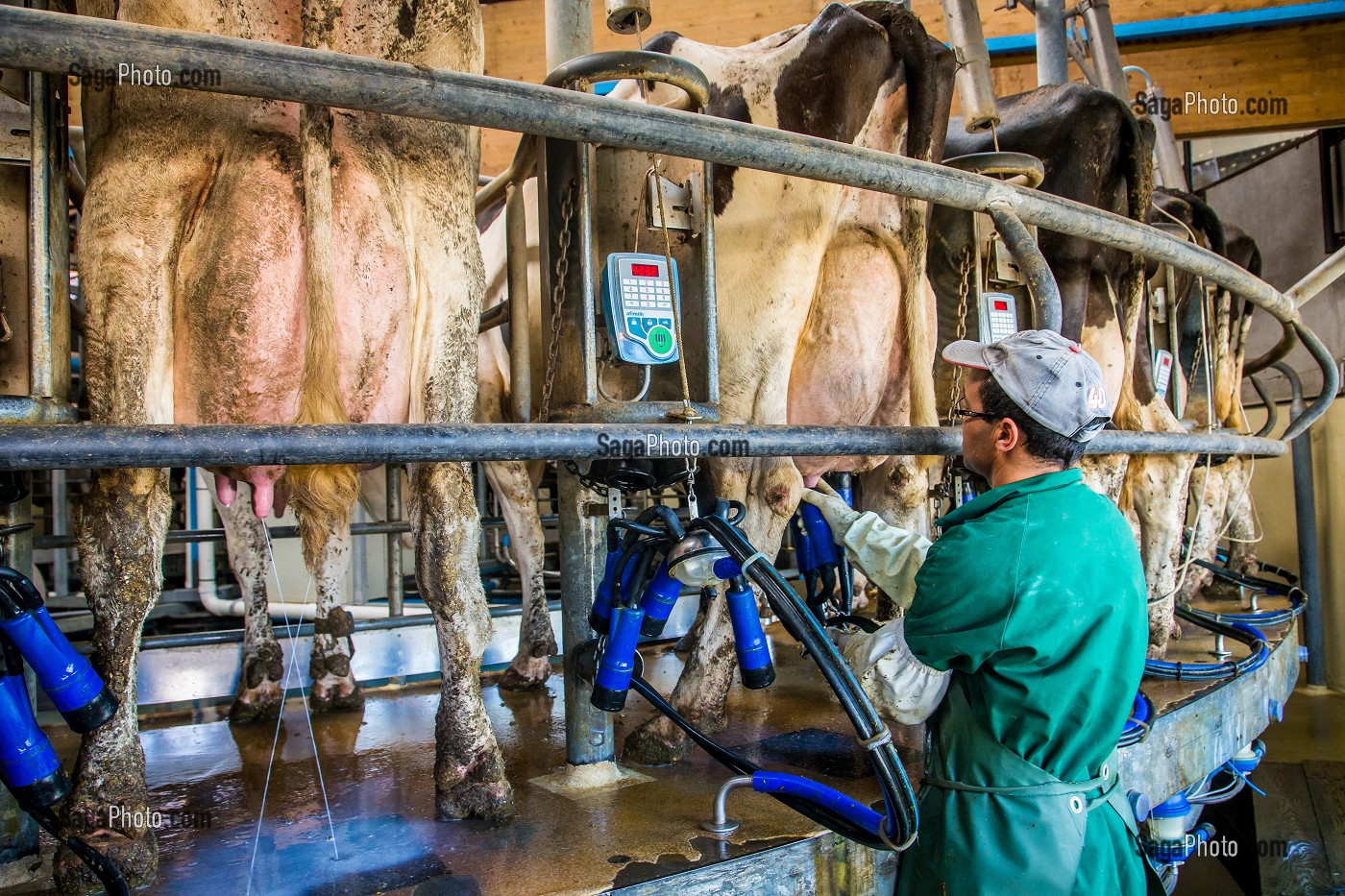 LA FERME DE VILTAIN, JOUY EN JOSAS, (78) YVELINES, ILE-DE-FRANCE, FRANCE 