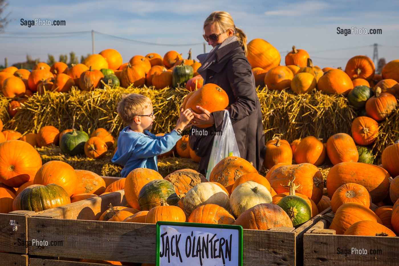 CITROUILLE JACK O'LANTERN, HALLOWEEN 