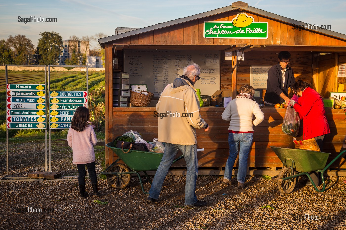 CUEILLETTE DE FRUITS ET LEGUMES 