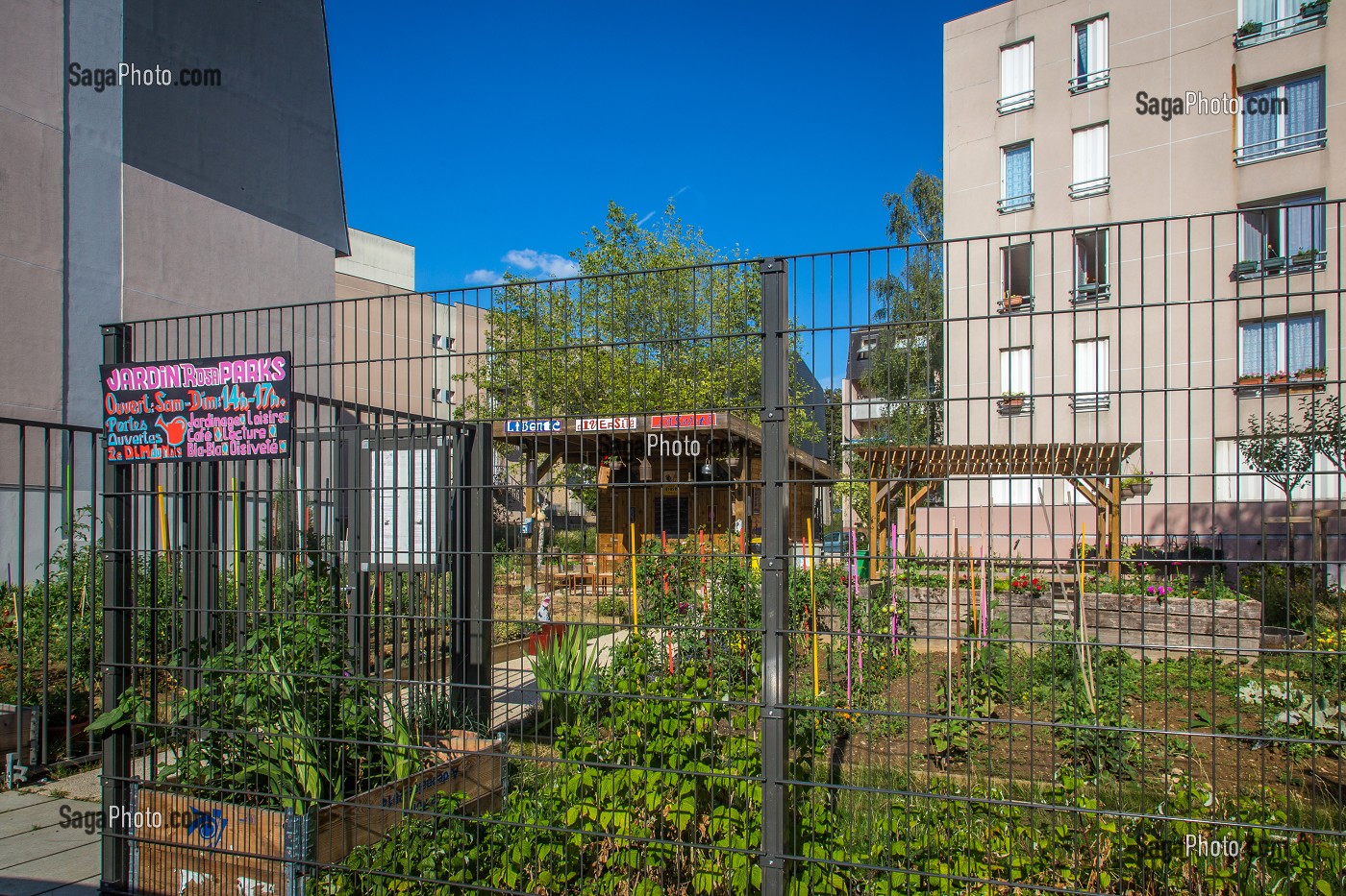 L'AGRICULTURE URBAINE, JARDIN PARTAGE, ALFORTVILLE, (94) VAL-DE-MARNE, ILE-DE-FRANCE, FRANCE 