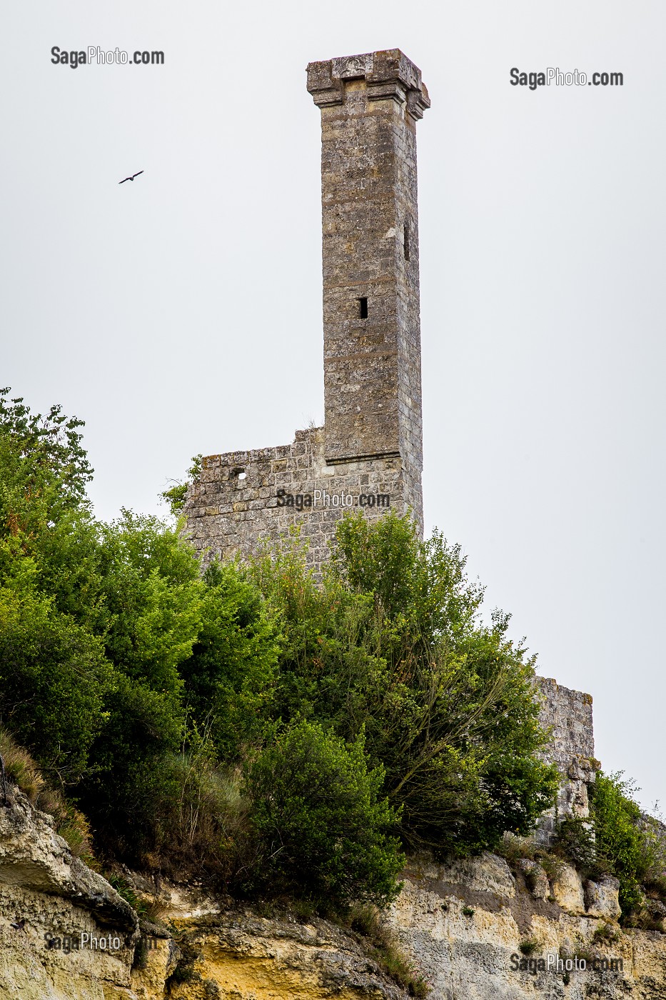 LA LOIRE AU FIL DE L'EAU, INDRE ET LOIRE, (37), REGION CENTRE VAL DE LOIRE, FRANCE 