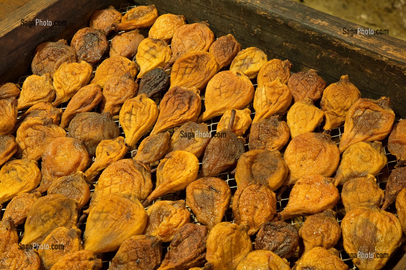 LA LOIRE AU FIL DE L'EAU, INDRE ET LOIRE, (37), REGION CENTRE VAL DE LOIRE, FRANCE 