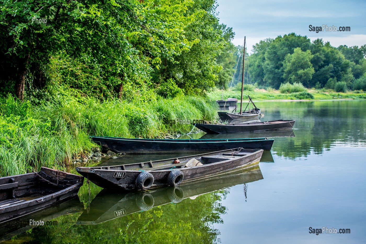LA LOIRE AU FIL DE L'EAU, INDRE ET LOIRE, (37), REGION CENTRE VAL DE LOIRE, FRANCE 