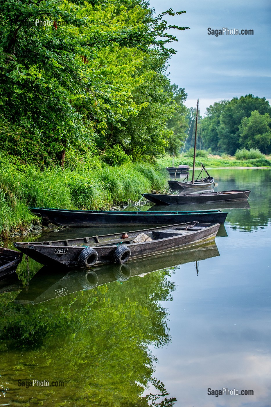 LA LOIRE AU FIL DE L'EAU, INDRE ET LOIRE, (37), REGION CENTRE VAL DE LOIRE, FRANCE 